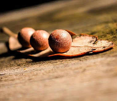 快速生成报表的虚拟号码外呼软件