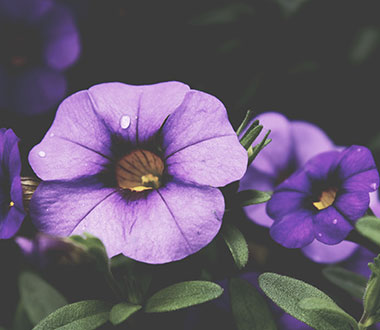 一秒发1000条电话的软件